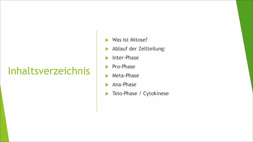 Mitose Inhaltsverzeichnis
Was ist Mitose?
► Ablauf der Zellteilung:
Inter-Phase
Pro-Phase
Meta-Phase
Ana-Phase
►Telo-Phase / Cytokinese Was 
