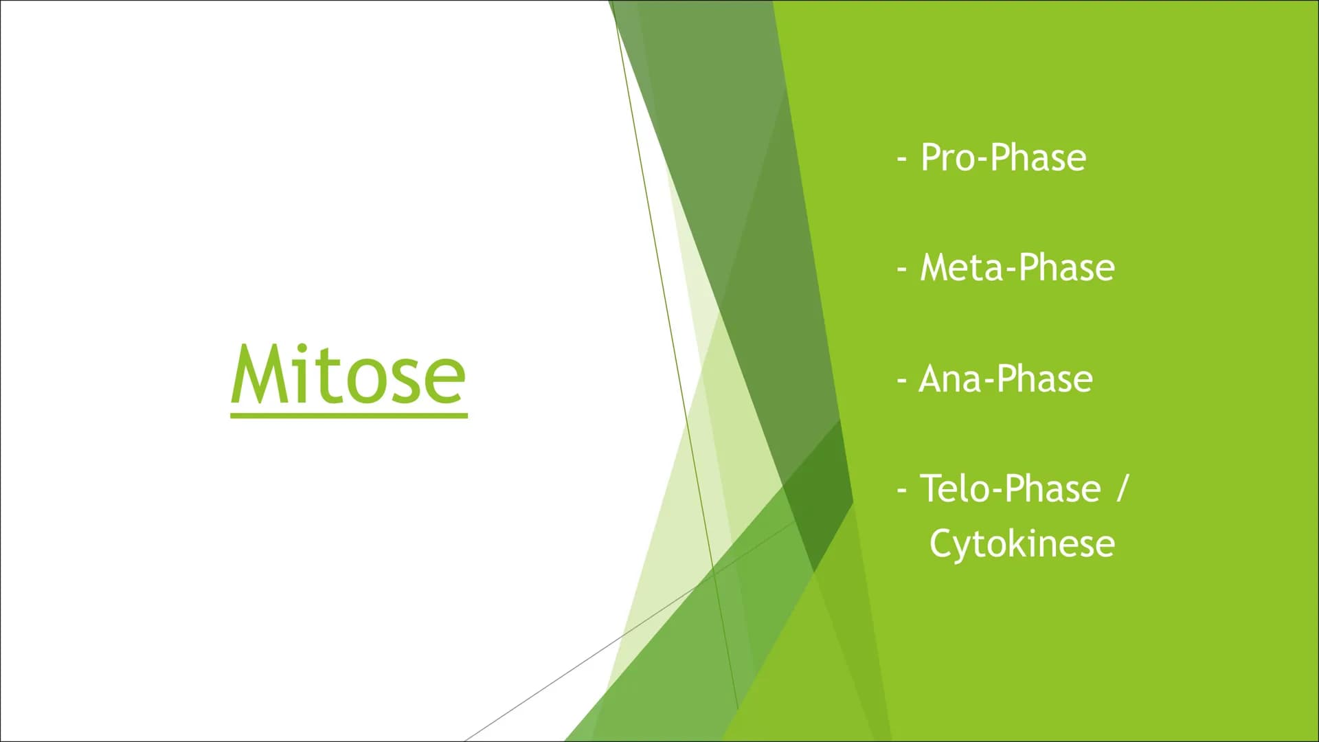 Mitose Inhaltsverzeichnis
Was ist Mitose?
► Ablauf der Zellteilung:
Inter-Phase
Pro-Phase
Meta-Phase
Ana-Phase
►Telo-Phase / Cytokinese Was 