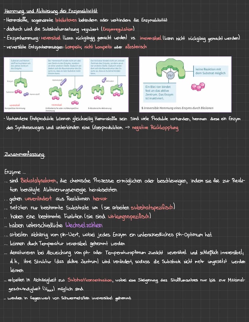 Biologie - Enzyme (Klasse 12 (G9) grundlegendes Niveau)
Basics:
- Enzyme sind Proteine (Polypeptidketten)
- liegen in der Tertiärstruktur vo