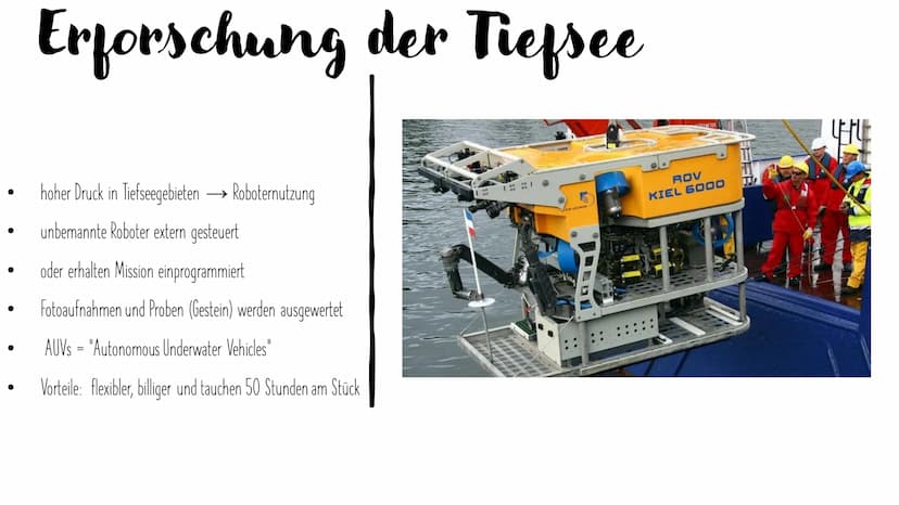 
<h2 id="basisinformationenozeane">Basisinformationen Ozeane</h2>
<p>Die Ozeane bedecken fast zwei Drittel der Erdoberfläche, und die Tiefse