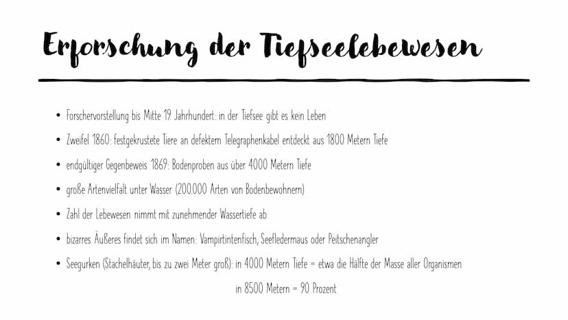 
<h2 id="basisinformationenozeane">Basisinformationen Ozeane</h2>
<p>Die Ozeane bedecken fast zwei Drittel der Erdoberfläche, und die Tiefse
