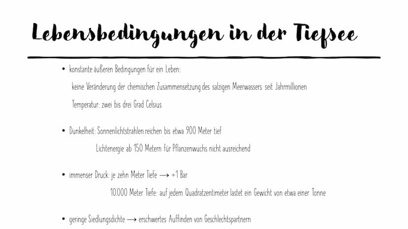 
<h2 id="basisinformationenozeane">Basisinformationen Ozeane</h2>
<p>Die Ozeane bedecken fast zwei Drittel der Erdoberfläche, und die Tiefse