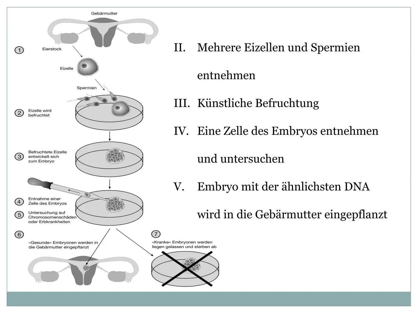 Retter - Geschwister
ETHISCH VERTRETBAR ?
Beim Leben
meiner Schwester
hoon diar
gal trean
O
95826419 1 GFS Ethik
Retter Geschwister
Ethisch 