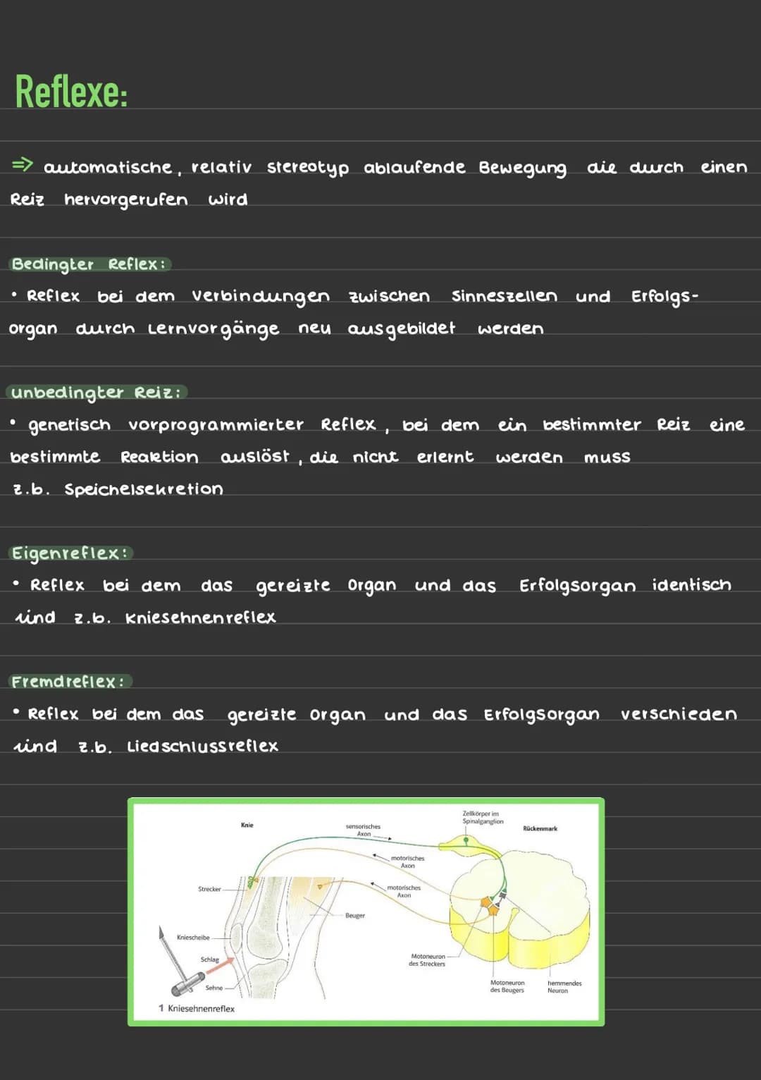 Reflexe:
automatische, relativ stereotyp ablaufende Bewegung die durch einen
Reiz hervorgerufen wird
Bedingter Reflex:
• Reflex bei dem verb