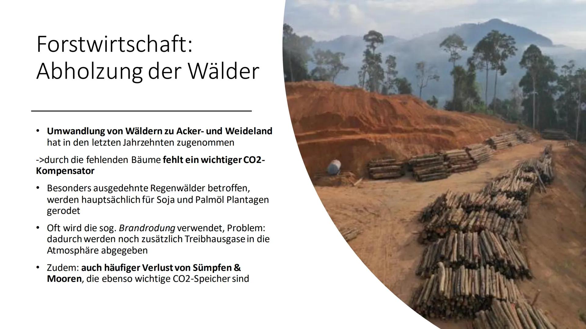 Ursachen und Folgen des
Klimawandels
Sozialkunde GK 13 Inhalt
Einstieg
Ursachen (anthropogene Einflüsse)
Folgen
Politische Reaktionen (Paris