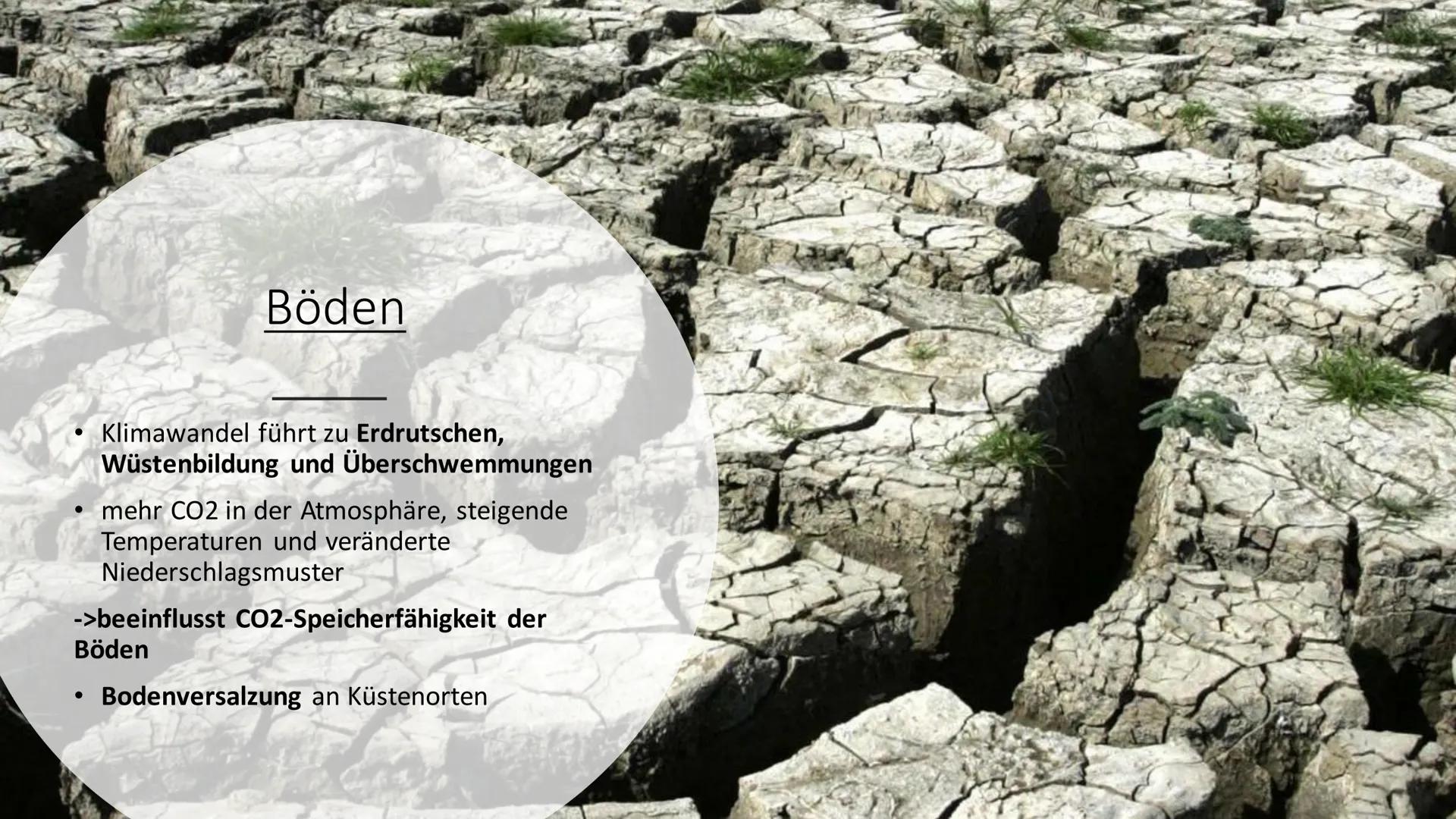 Ursachen und Folgen des
Klimawandels
Sozialkunde GK 13 Inhalt
Einstieg
Ursachen (anthropogene Einflüsse)
Folgen
Politische Reaktionen (Paris