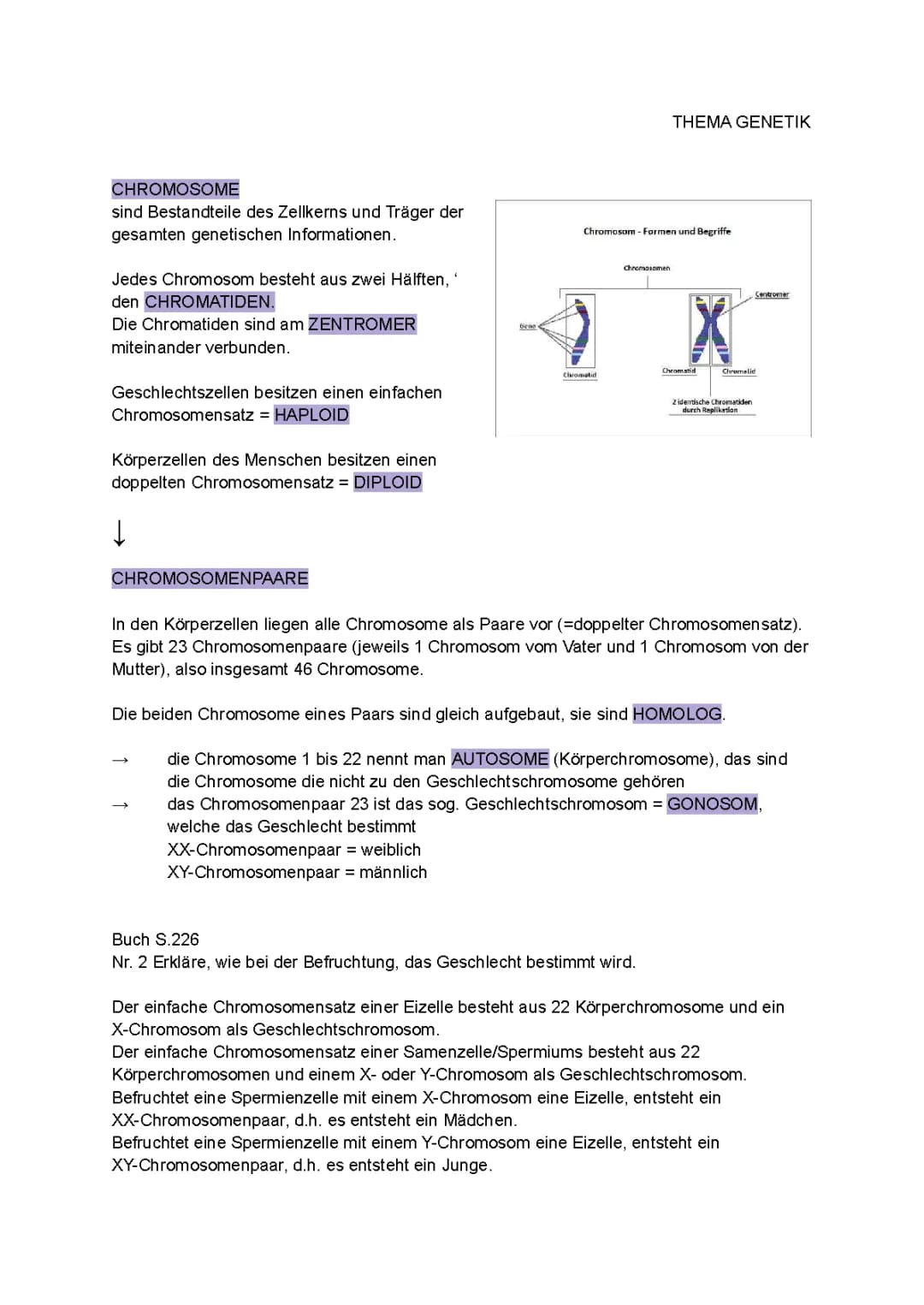 Genetik Chromosom 
