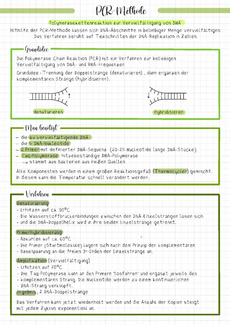 Know PCR-Methode (Polymerasekettenreaktion) thumbnail
