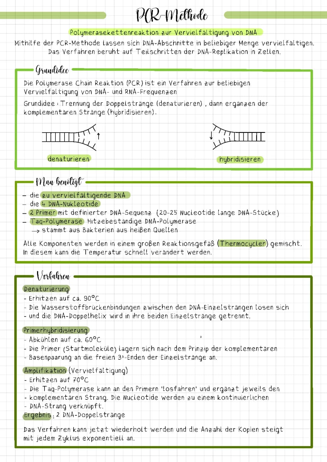 PCR-Methode (Polymerasekettenreaktion)
