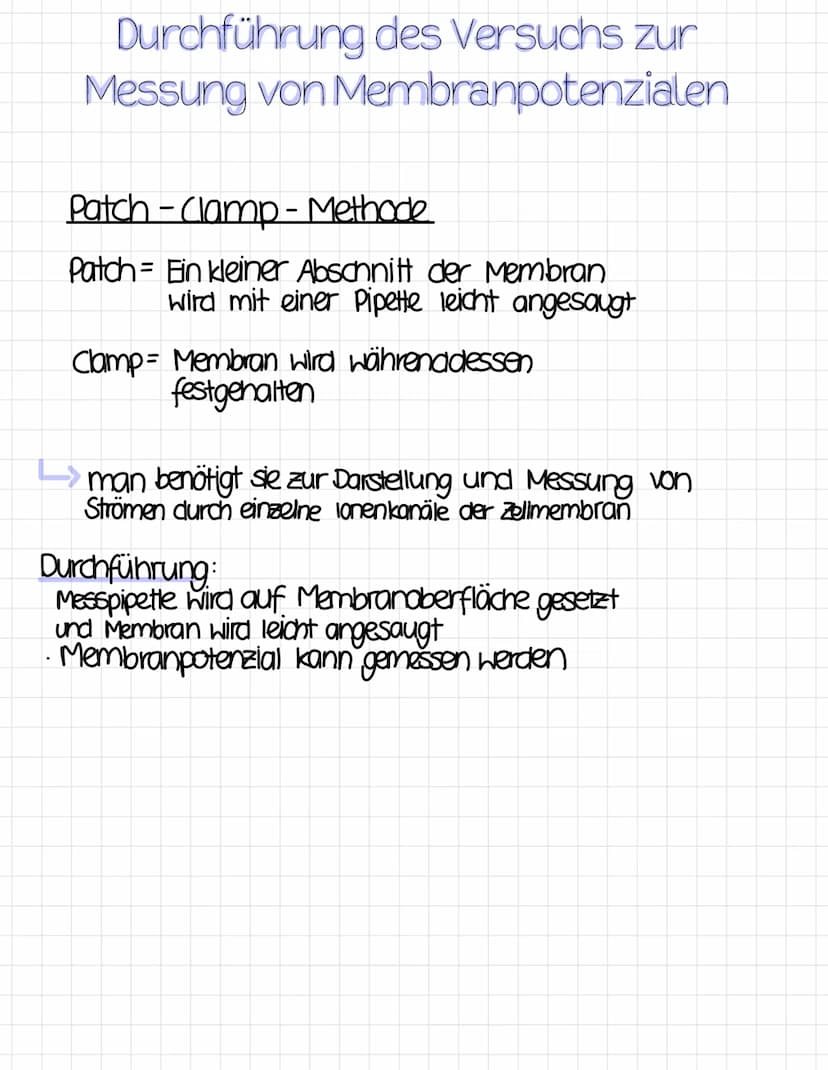 Reizreaktionsschema
Reiz
Ball kommt
↑
Reaktion
Hände fangen
den Ball
Sinnesorgane
= Aufnahme von Reizen
(adäquater Reiz)
Erfolgsorgane
(Effe