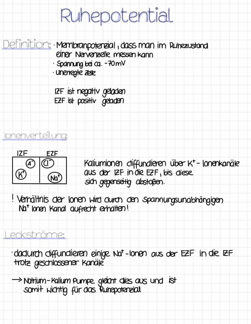 Reizreaktionsschema
Reiz
Ball kommt
↑
Reaktion
Hände fangen
den Ball
Sinnesorgane
= Aufnahme von Reizen
(adäquater Reiz)
Erfolgsorgane
(Effe