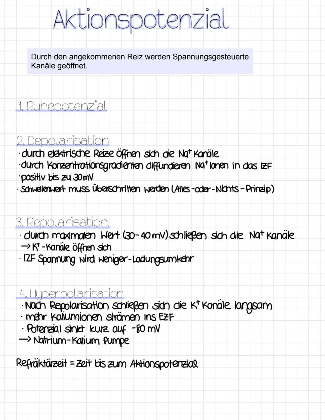 Reizreaktionsschema
Reiz
Ball kommt
↑
Reaktion
Hände fangen
den Ball
Sinnesorgane
= Aufnahme von Reizen
(adäquater Reiz)
Erfolgsorgane
(Effe