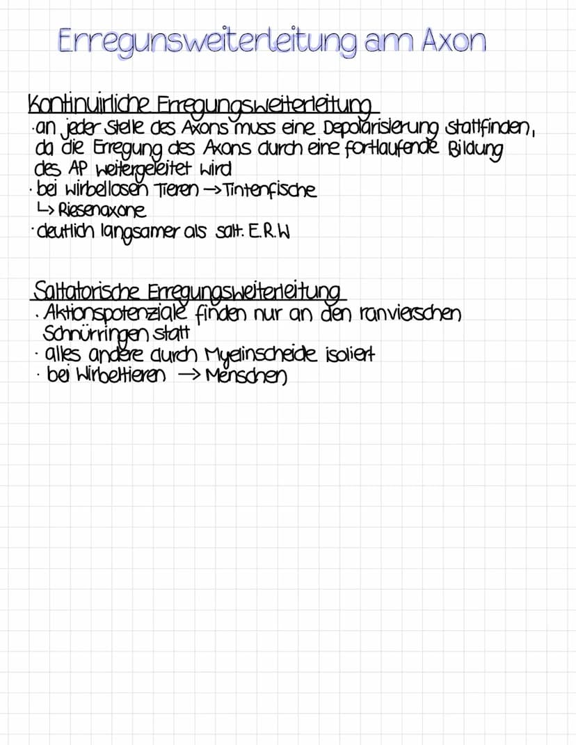 Reizreaktionsschema
Reiz
Ball kommt
↑
Reaktion
Hände fangen
den Ball
Sinnesorgane
= Aufnahme von Reizen
(adäquater Reiz)
Erfolgsorgane
(Effe