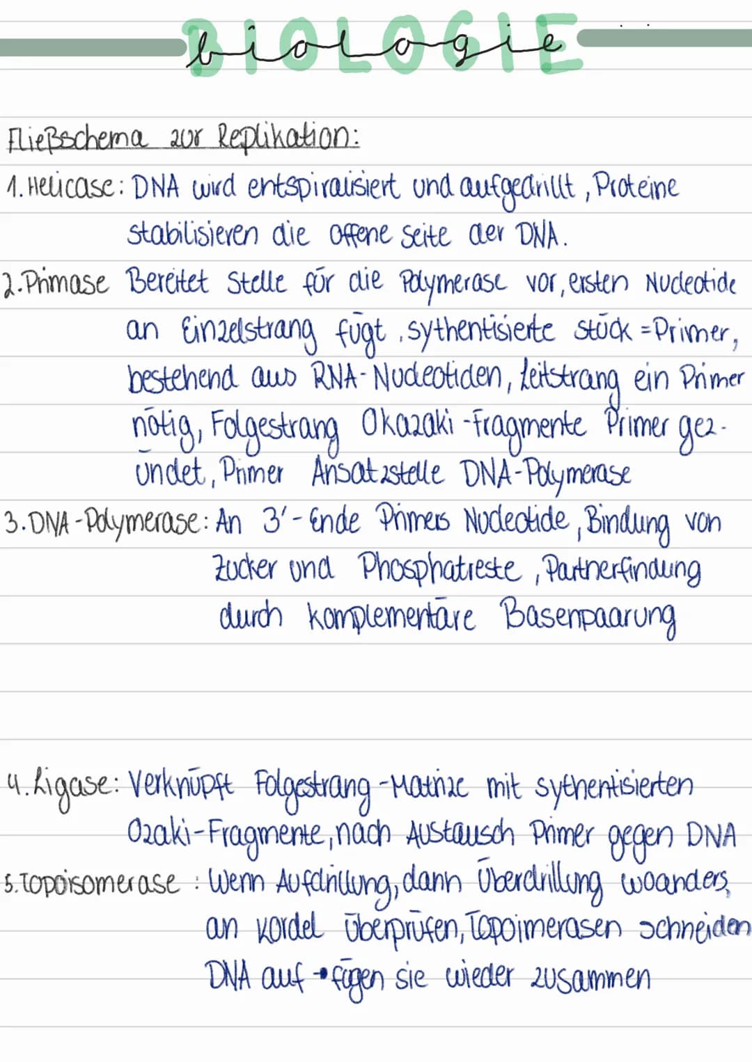 blologle
Fließschema 200 Replikation:
1. Helicase: DNA wird entspiralisiert und aufgedrillt, Proteine
stabilisieren die Offene Seite der DNA