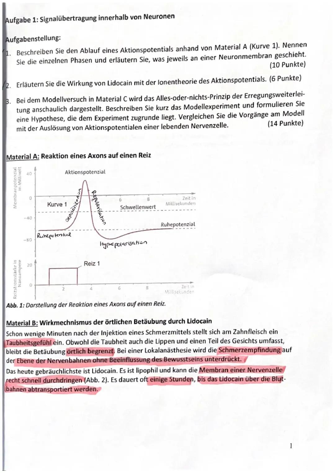 Neurobiologie Klausur Bio GK Q1