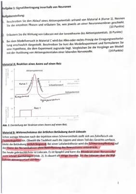 Know Neurobiologie Klausur Bio GK Q1 thumbnail