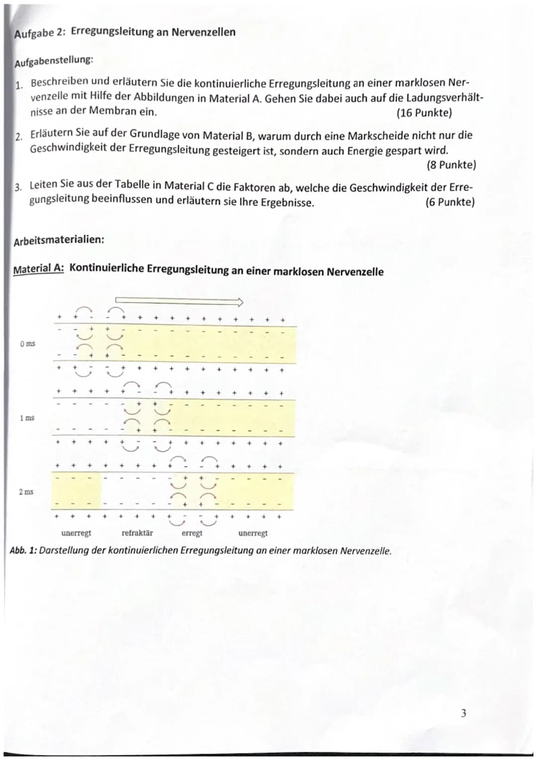 Aufgabe 1: Signalübertragung innerhalb von Neuronen
Aufgabenstellung:
1. Beschreiben Sie den Ablauf eines Aktionspotentials anhand von Mater