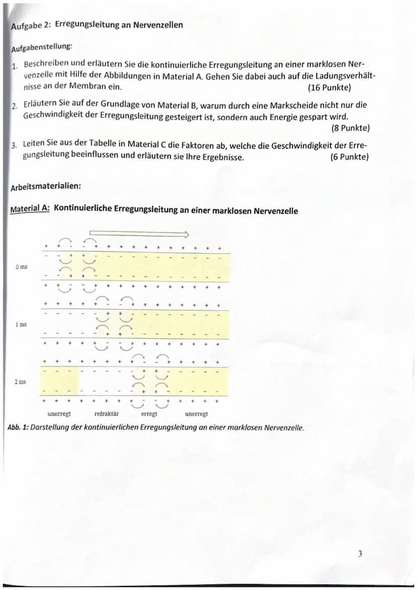 Aufgabe 1: Signalübertragung innerhalb von Neuronen
Aufgabenstellung:
1. Beschreiben Sie den Ablauf eines Aktionspotentials anhand von Mater
