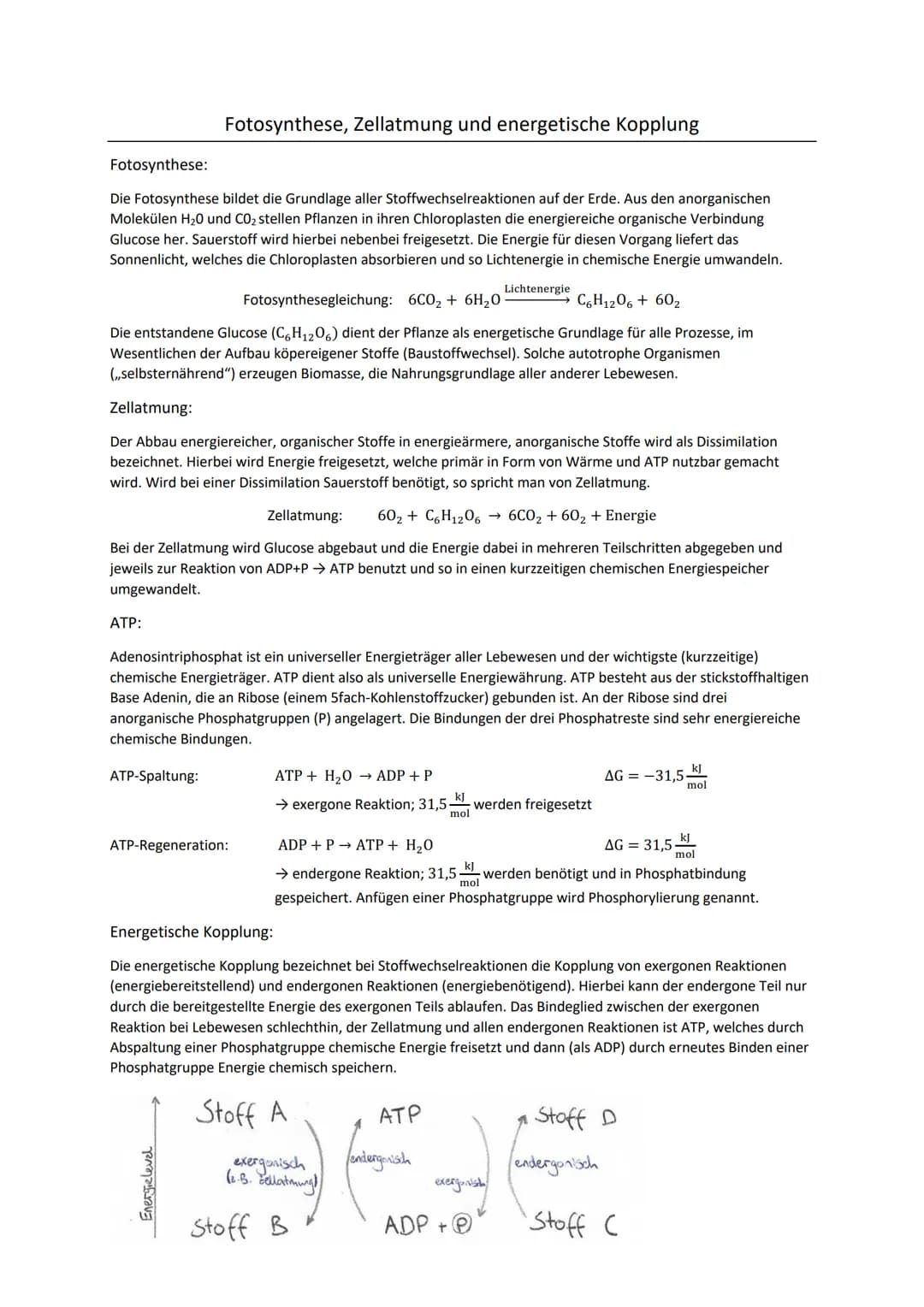 Fotosynthese:
Die Fotosynthese bildet die Grundlage aller Stoffwechselreaktionen auf der Erde. Aus den anorganischen
Molekülen H₂0 und CO₂ s