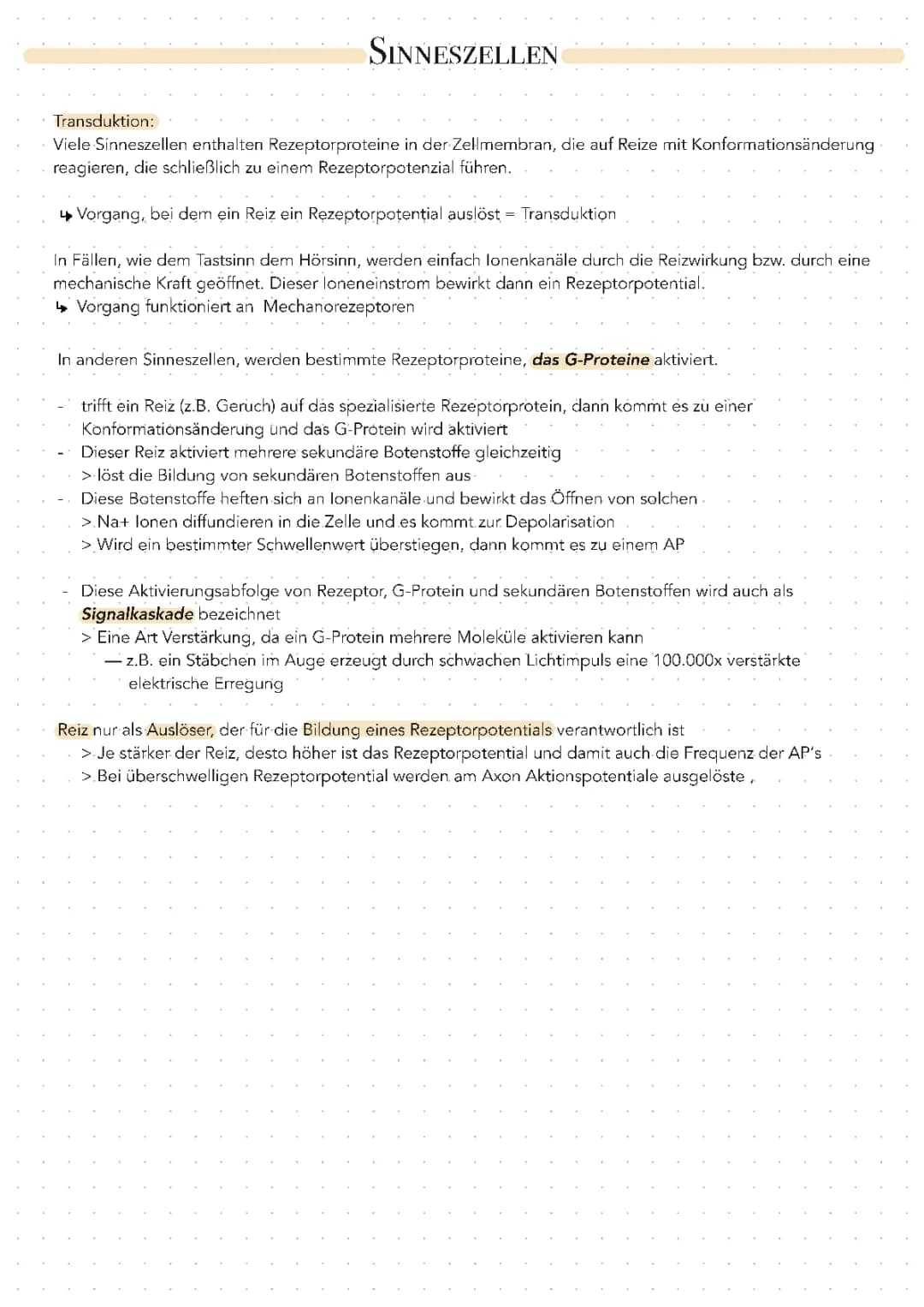 Sinneszellen (Definition, Primäre und Sekundäre Sinneszellen, Transduktion)
