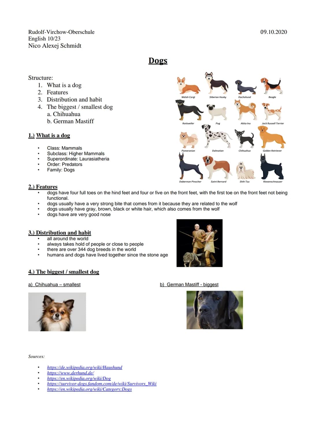 From Nico Schmidt
The Dog Rudolf-Virchow-Oberschule
English 10/23
Nico Alexej Schmidt
Structure:
1. What is a dog
2. Features
3. Distributio