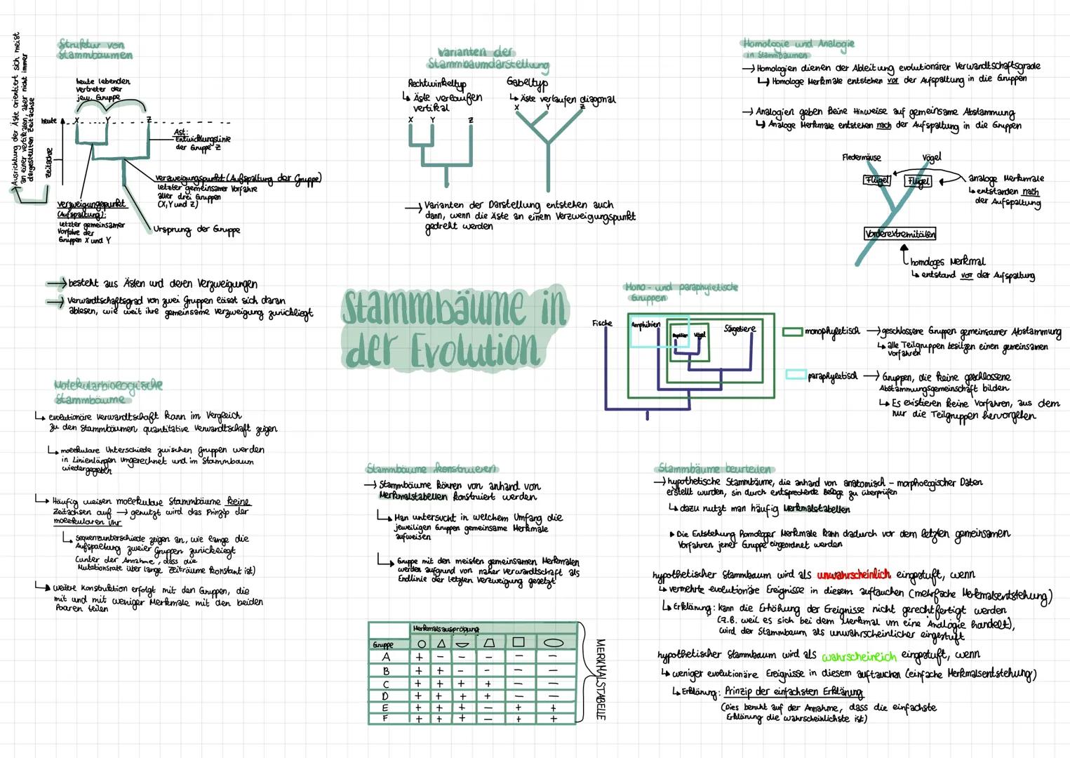 heute
# Struktur von
Stammbaumen

heute lebenden
Vertreter der
jew Grippe

→Ausrichtung der Aste orientiert sich meist
an einer vertikalen, 