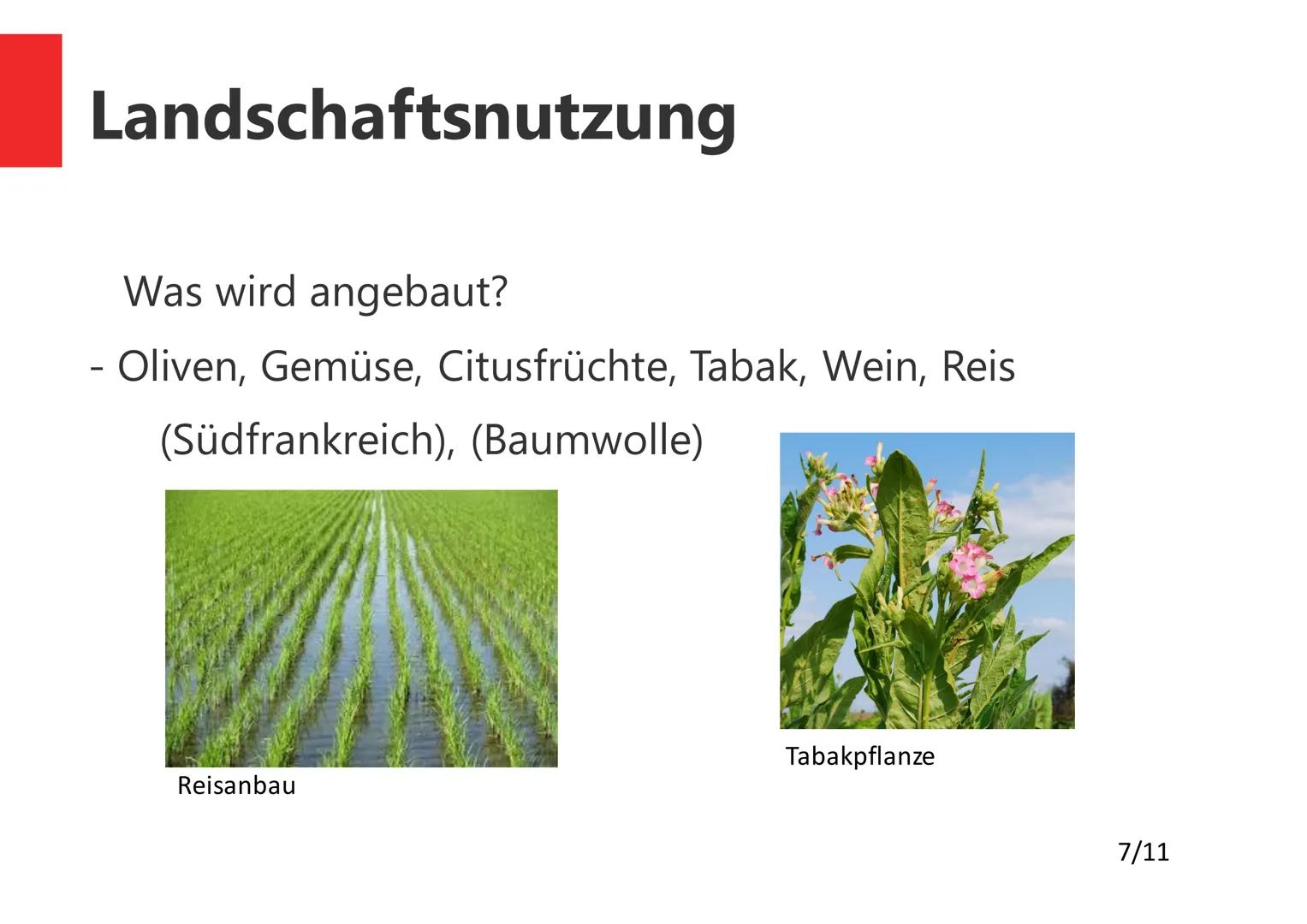 Argolis, Griechenland
Die winterfeuchten
Subtropen
1/11 Gliederung
1. Was sind Winterfeuchte Subtropen?
2. Allgemeines
3. Lokalisierung
4. K