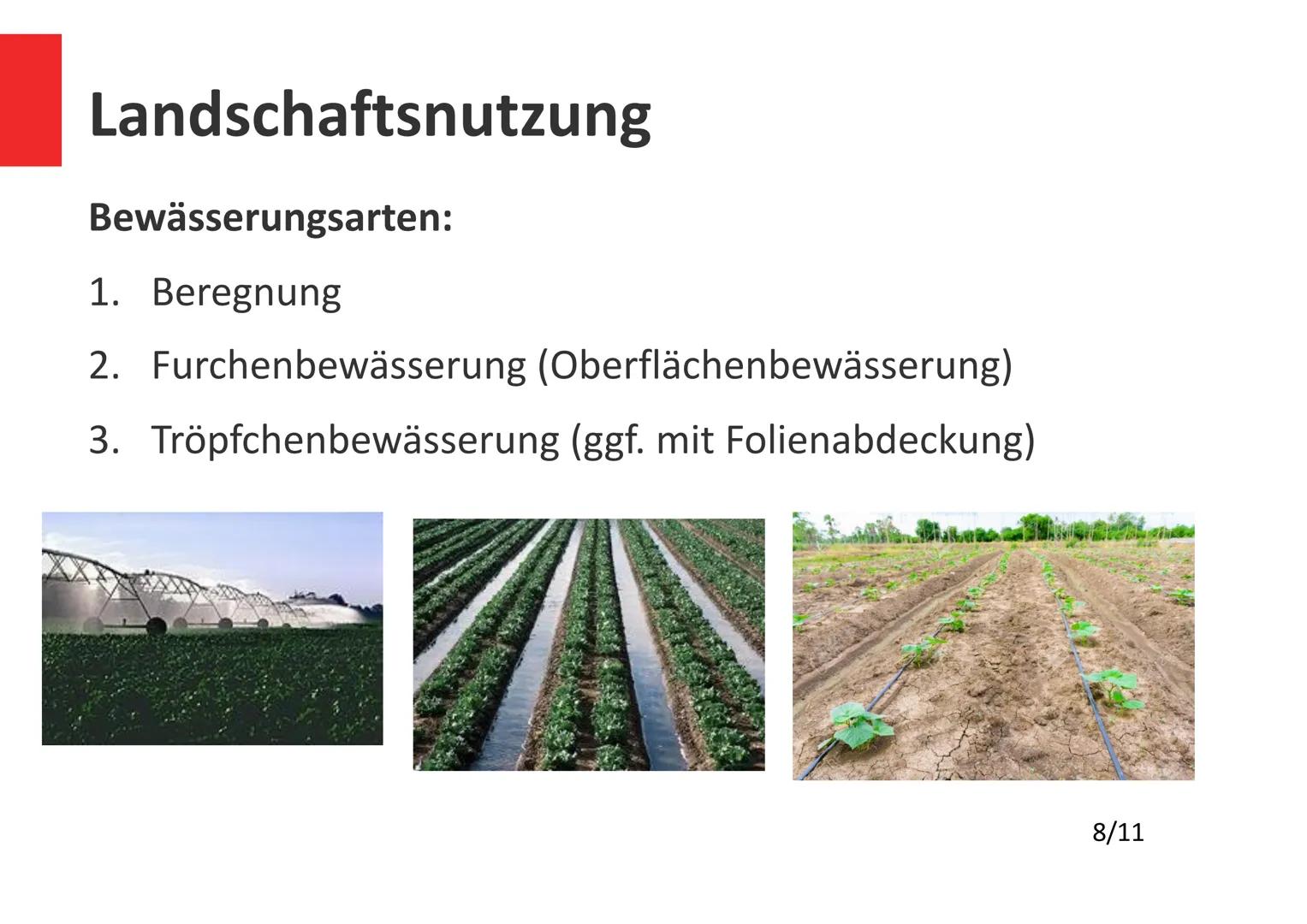 Argolis, Griechenland
Die winterfeuchten
Subtropen
1/11 Gliederung
1. Was sind Winterfeuchte Subtropen?
2. Allgemeines
3. Lokalisierung
4. K