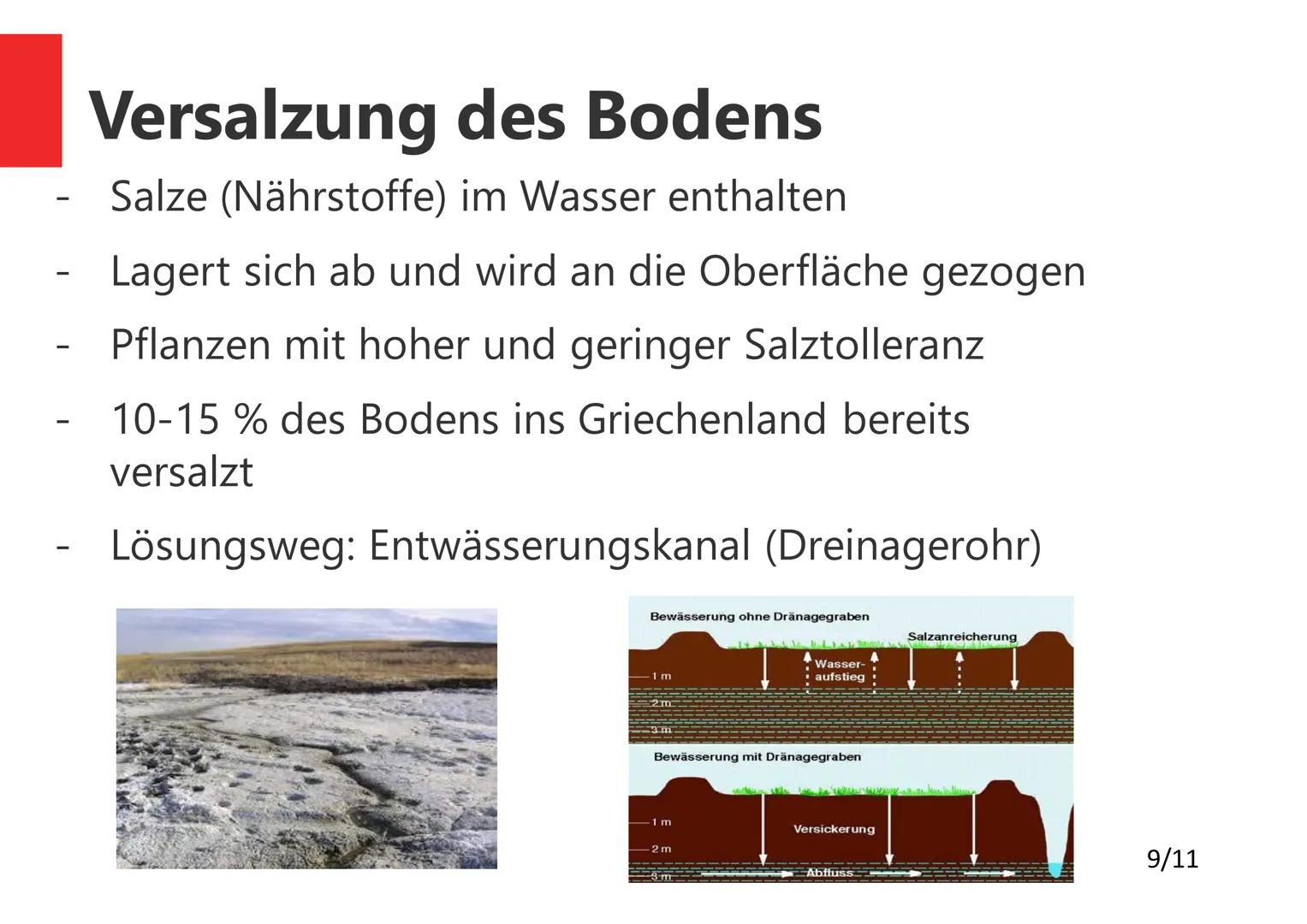 Argolis, Griechenland
Die winterfeuchten
Subtropen
1/11 Gliederung
1. Was sind Winterfeuchte Subtropen?
2. Allgemeines
3. Lokalisierung
4. K