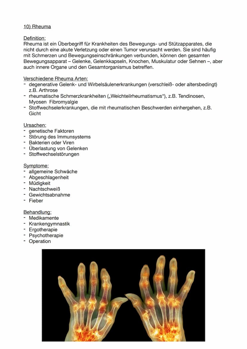 
<p><strong>Mimische Muskulatur</strong></p>
<ul>
<li>Deltamuskel (M. deltoideus)</li>
<li>Großer Brustmuskel (M. pectoralis major)</li>
<li