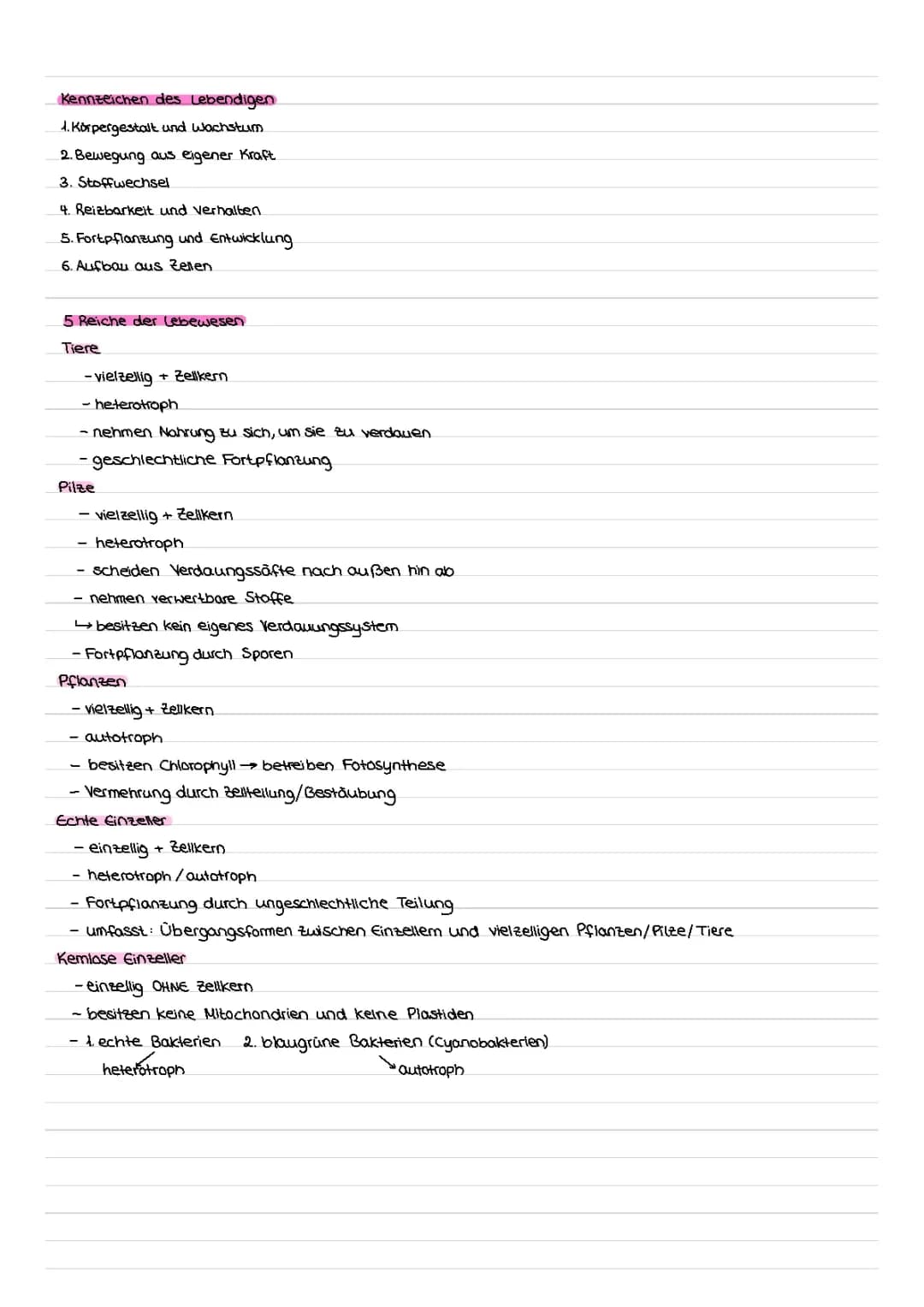 Bio Lernzettel