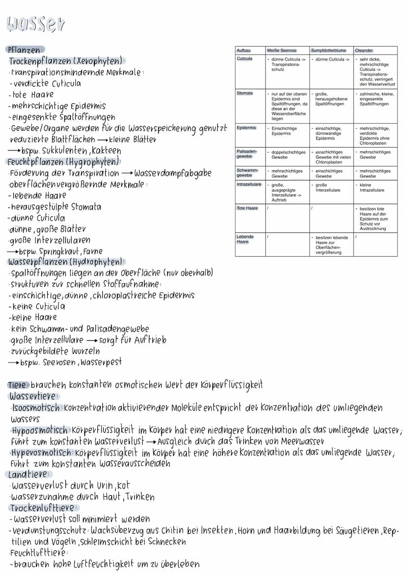 toleranz
Pessimum
Minimum (Tod) i
Optimum
Praferendum
Toleranzbereich+
-ökologische Potenz
Pessimum
Maximum (Tod)
stärke des Umweltfaktors
P