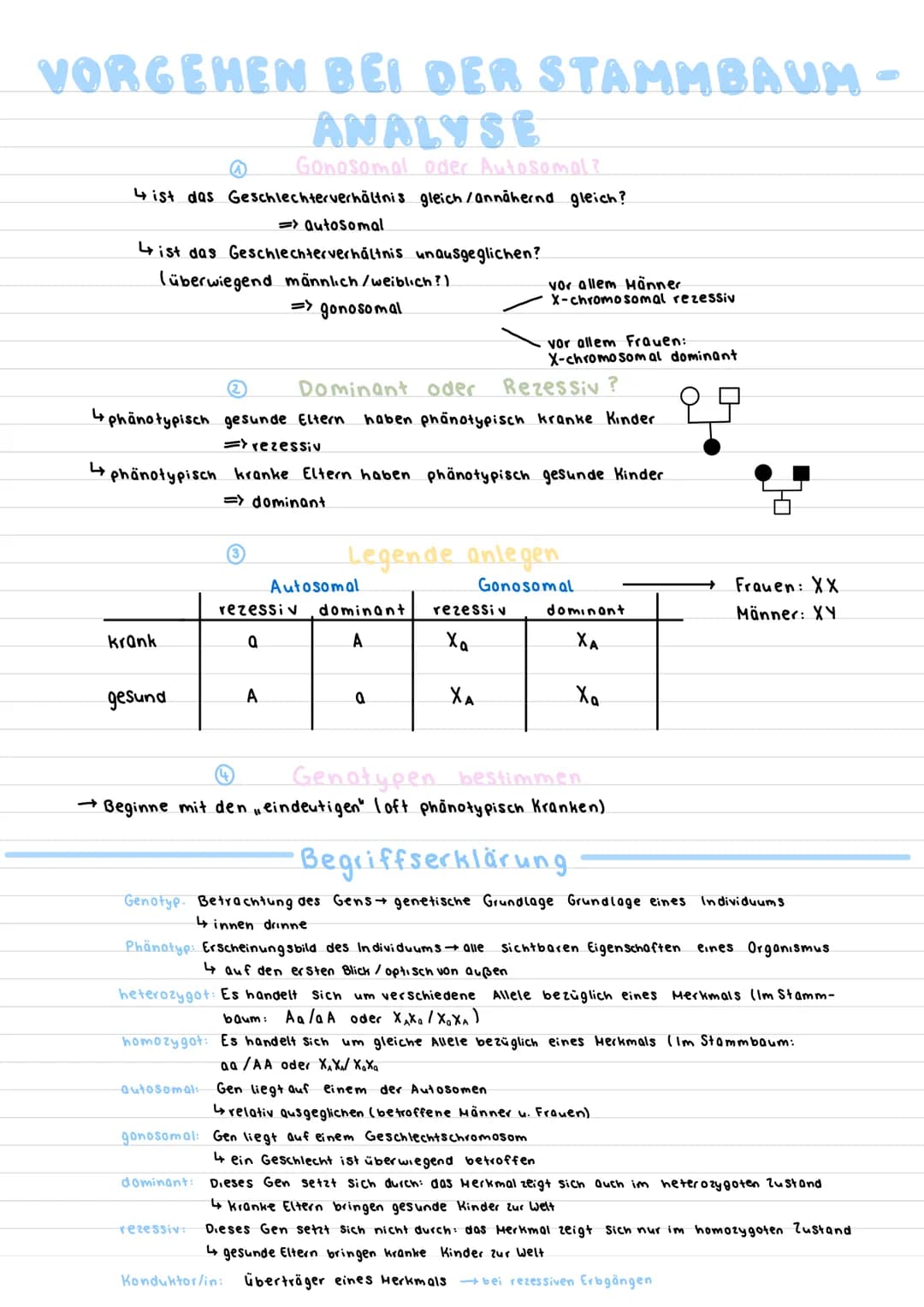 VORGEHEN BEI DER STAMMBAUM -
ANALYSE
Gonosomol oder Autosomal?
4 ist das Geschlechterverhältnis gleich/annähernd gleich?
=>autosomal
List da