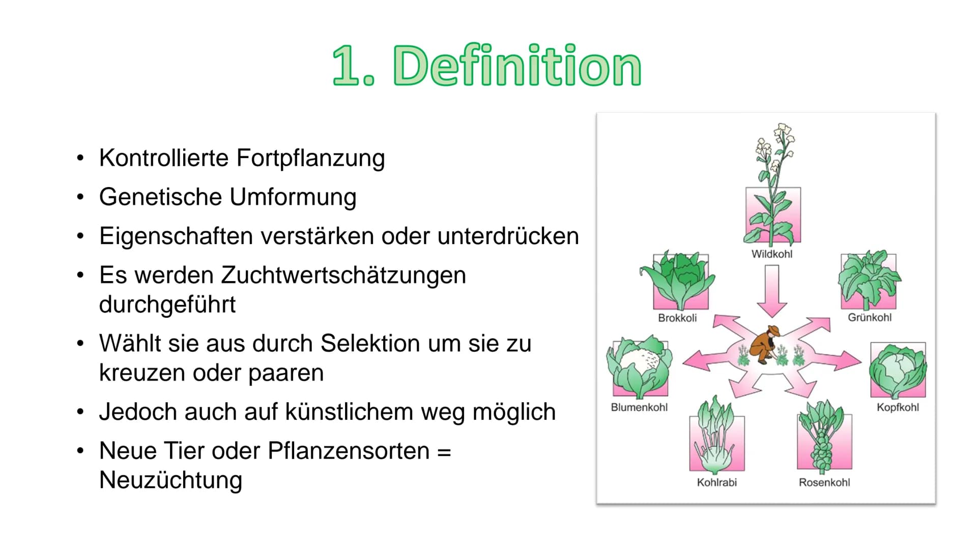 - Züchtung
Gliederung:
1. Definition
2. Geschichte
3. Arten/Methoden
3.1 Auslesezüchtung
3.2 Kombinationszüchtung
3.3 Hybridzüchtung
4. Ziel