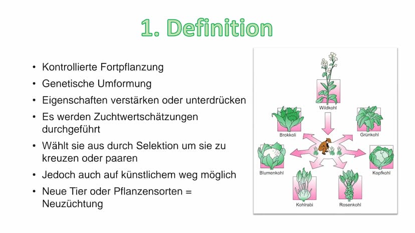 - Züchtung
Gliederung:
1. Definition
2. Geschichte
3. Arten/Methoden
3.1 Auslesezüchtung
3.2 Kombinationszüchtung
3.3 Hybridzüchtung
4. Ziel
