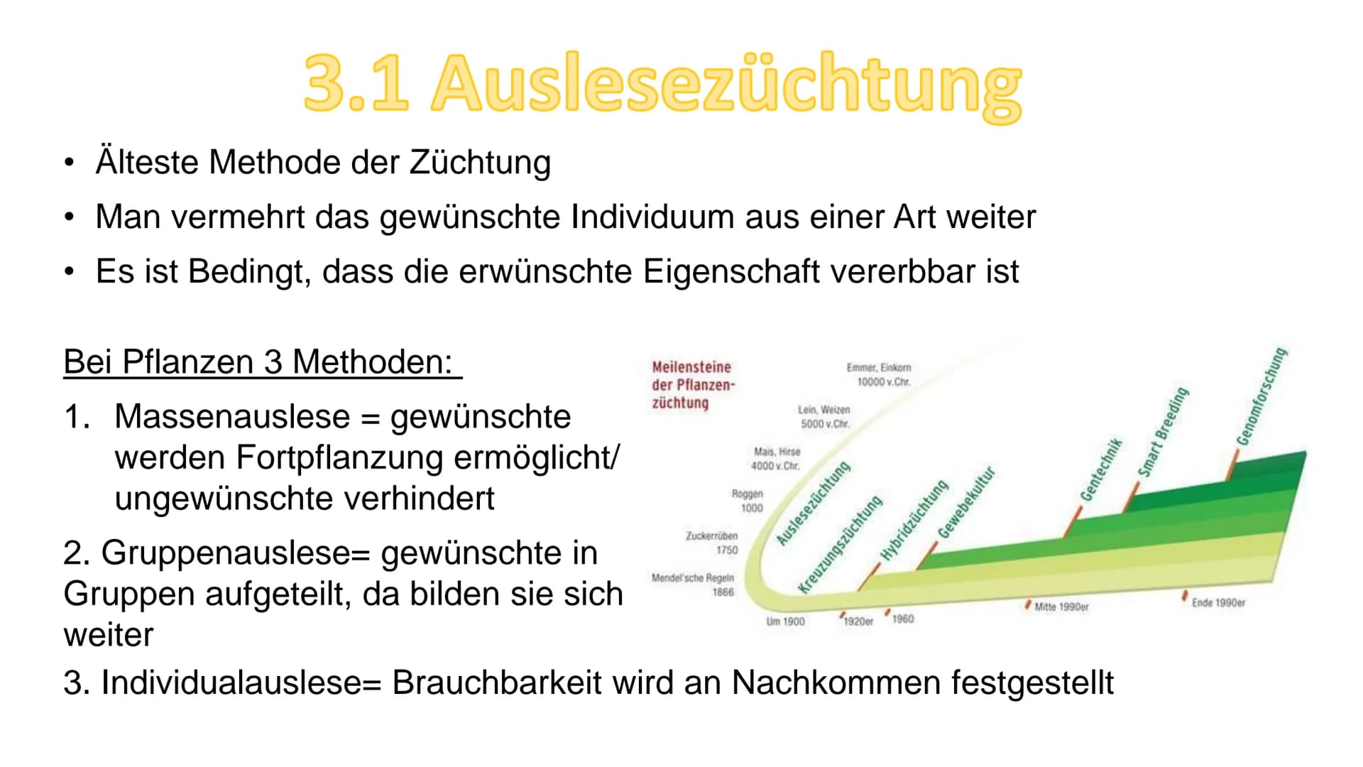 - Züchtung
Gliederung:
1. Definition
2. Geschichte
3. Arten/Methoden
3.1 Auslesezüchtung
3.2 Kombinationszüchtung
3.3 Hybridzüchtung
4. Ziel