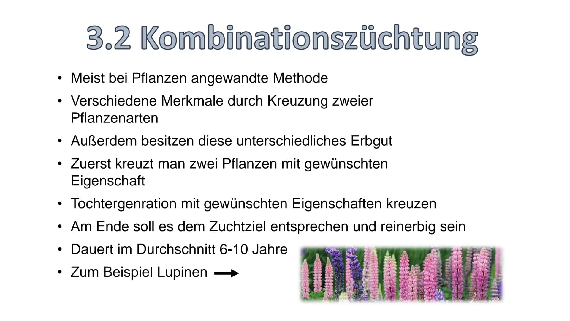 - Züchtung
Gliederung:
1. Definition
2. Geschichte
3. Arten/Methoden
3.1 Auslesezüchtung
3.2 Kombinationszüchtung
3.3 Hybridzüchtung
4. Ziel