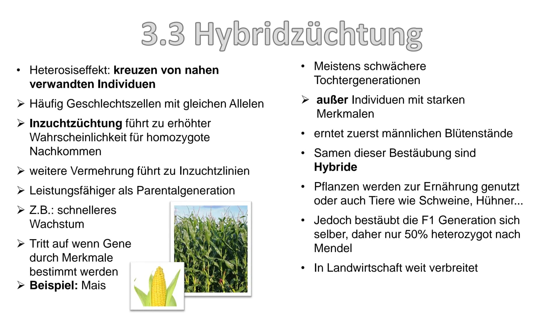 - Züchtung
Gliederung:
1. Definition
2. Geschichte
3. Arten/Methoden
3.1 Auslesezüchtung
3.2 Kombinationszüchtung
3.3 Hybridzüchtung
4. Ziel