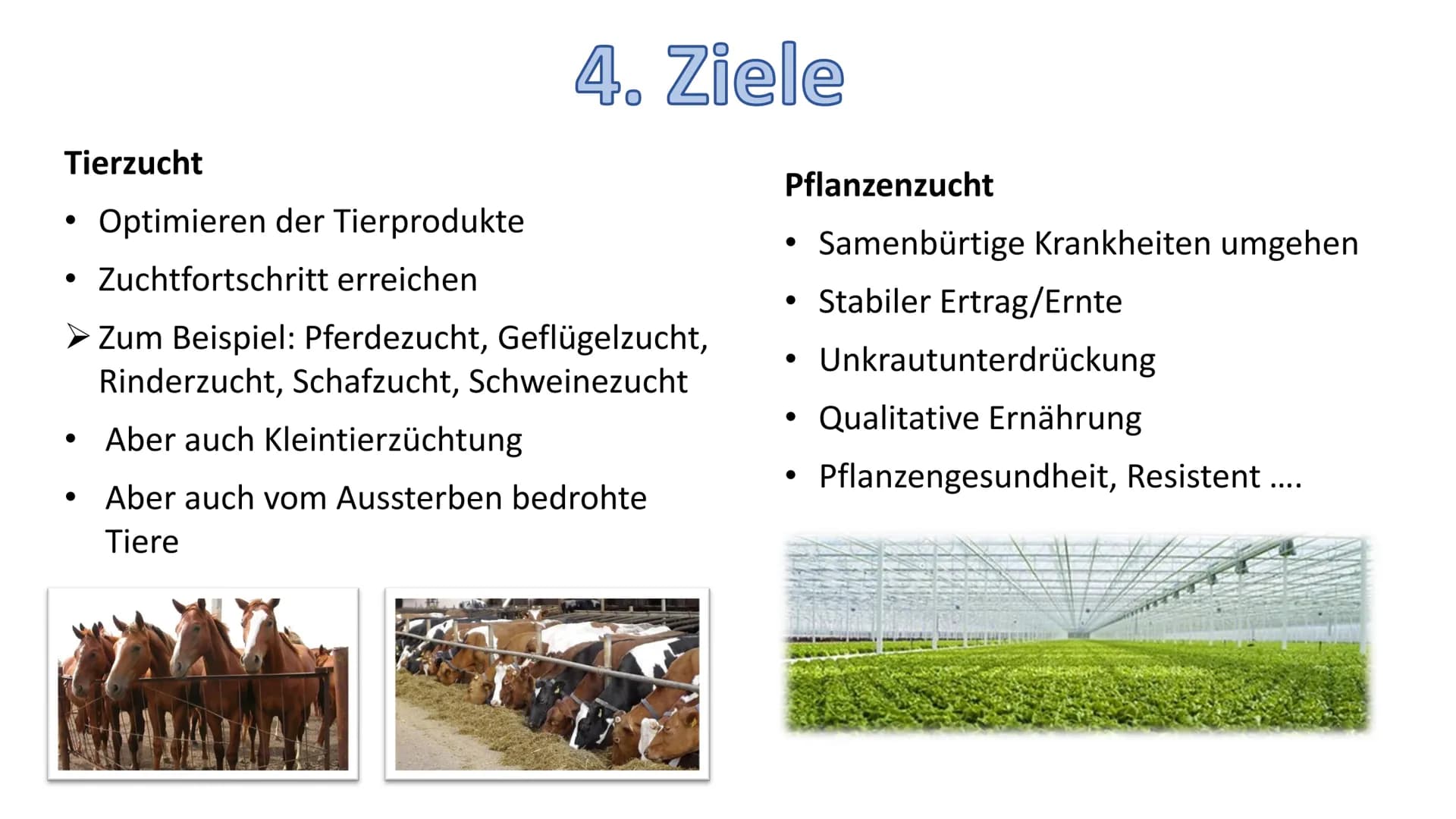 - Züchtung
Gliederung:
1. Definition
2. Geschichte
3. Arten/Methoden
3.1 Auslesezüchtung
3.2 Kombinationszüchtung
3.3 Hybridzüchtung
4. Ziel