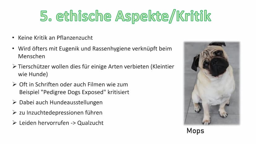 - Züchtung
Gliederung:
1. Definition
2. Geschichte
3. Arten/Methoden
3.1 Auslesezüchtung
3.2 Kombinationszüchtung
3.3 Hybridzüchtung
4. Ziel