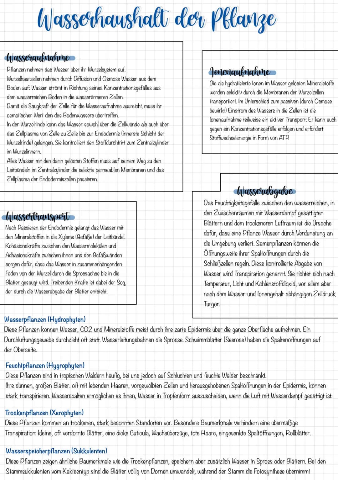 Wasserhaushalt der Pflanze
Wasseraufnahme
Pflanzen nehmen das Wasser über ihr Wurzelsystem auf.
Wurzelhaarzellen nehmen durch Diffusion und 