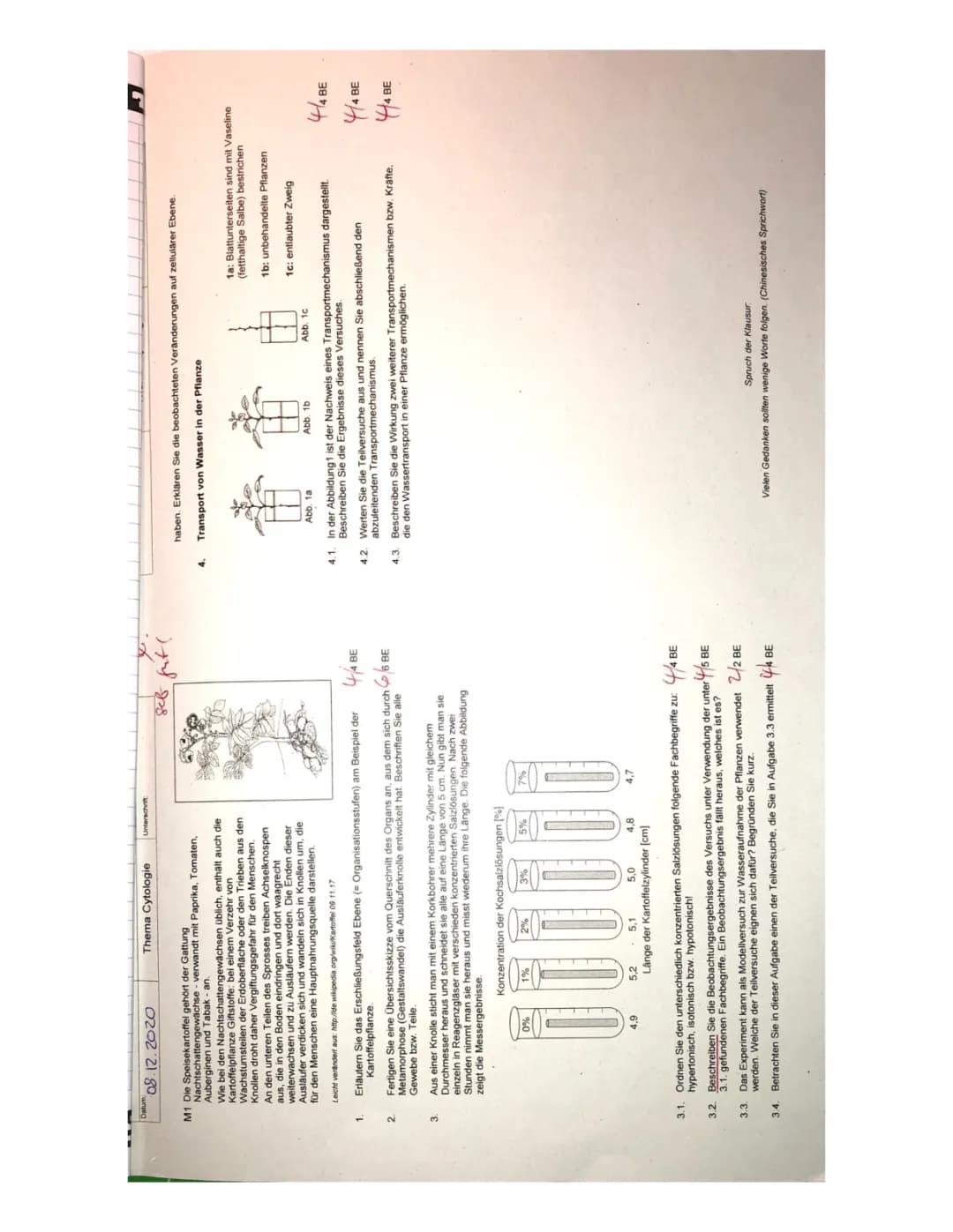 Wassertransport in Pflanzen leicht erklärt: Osmose, Diffusion & Zytologie