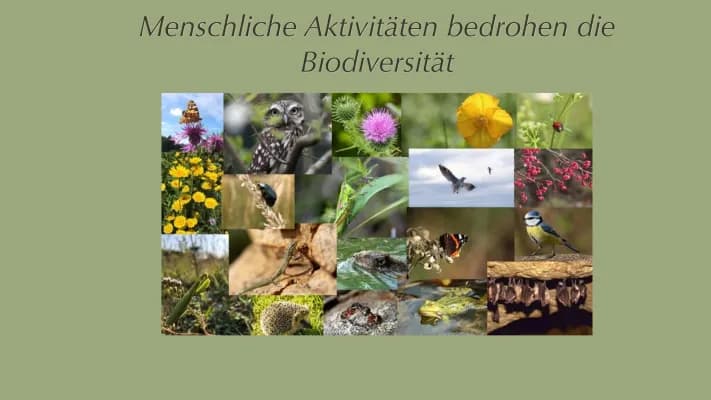 Know Biodiversität  thumbnail