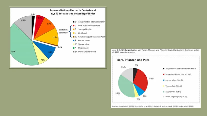 Menschliche Aktivitäten bedrohen die
Biodiversität 1. Biodiversität Definition
2. Artenvielfalt
Inhalt
2.1 Hotspots
3. Ursachen
4. Abhängigk