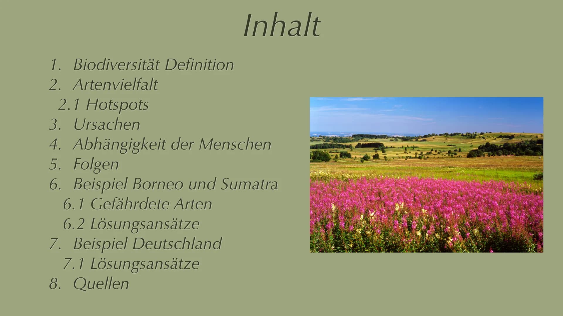 Menschliche Aktivitäten bedrohen die
Biodiversität 1. Biodiversität Definition
2. Artenvielfalt
Inhalt
2.1 Hotspots
3. Ursachen
4. Abhängigk