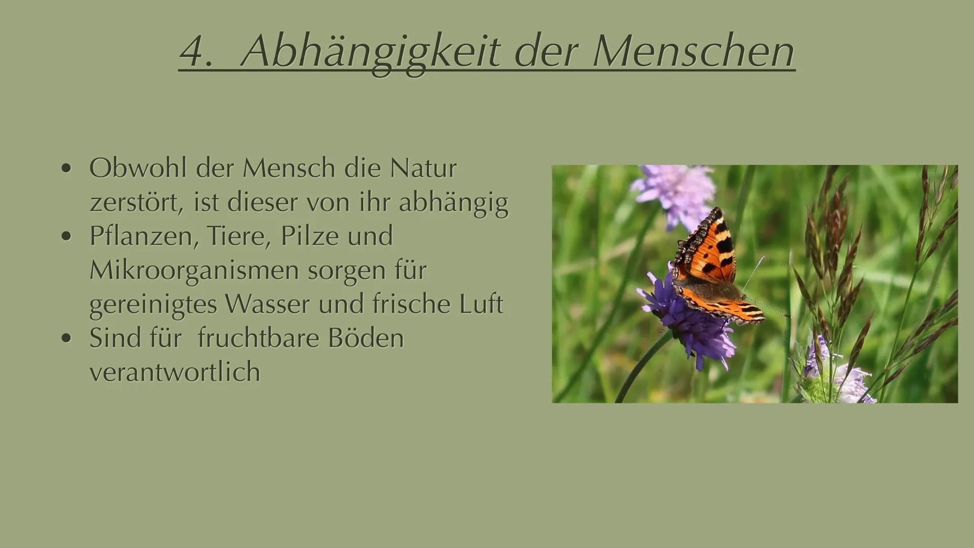 Menschliche Aktivitäten bedrohen die
Biodiversität 1. Biodiversität Definition
2. Artenvielfalt
Inhalt
2.1 Hotspots
3. Ursachen
4. Abhängigk