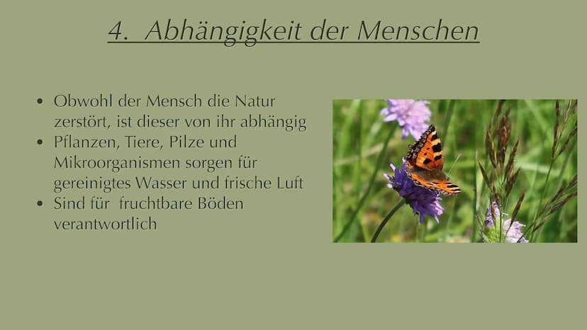Menschliche Aktivitäten bedrohen die
Biodiversität 1. Biodiversität Definition
2. Artenvielfalt
Inhalt
2.1 Hotspots
3. Ursachen
4. Abhängigk