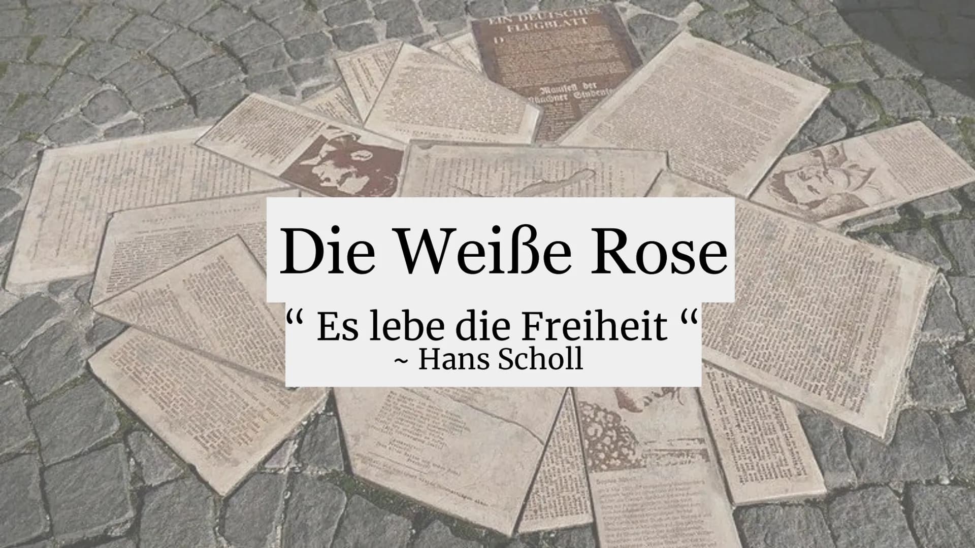 ~
FOREST
EIN DEUTSCHES
FLUGBLATT
Die Weiße Rose
((
Es lebe die Freiheit “
Hans Scholl
al
D
Maufen ber
26anet Giubente
STAURA
and Hele Regier