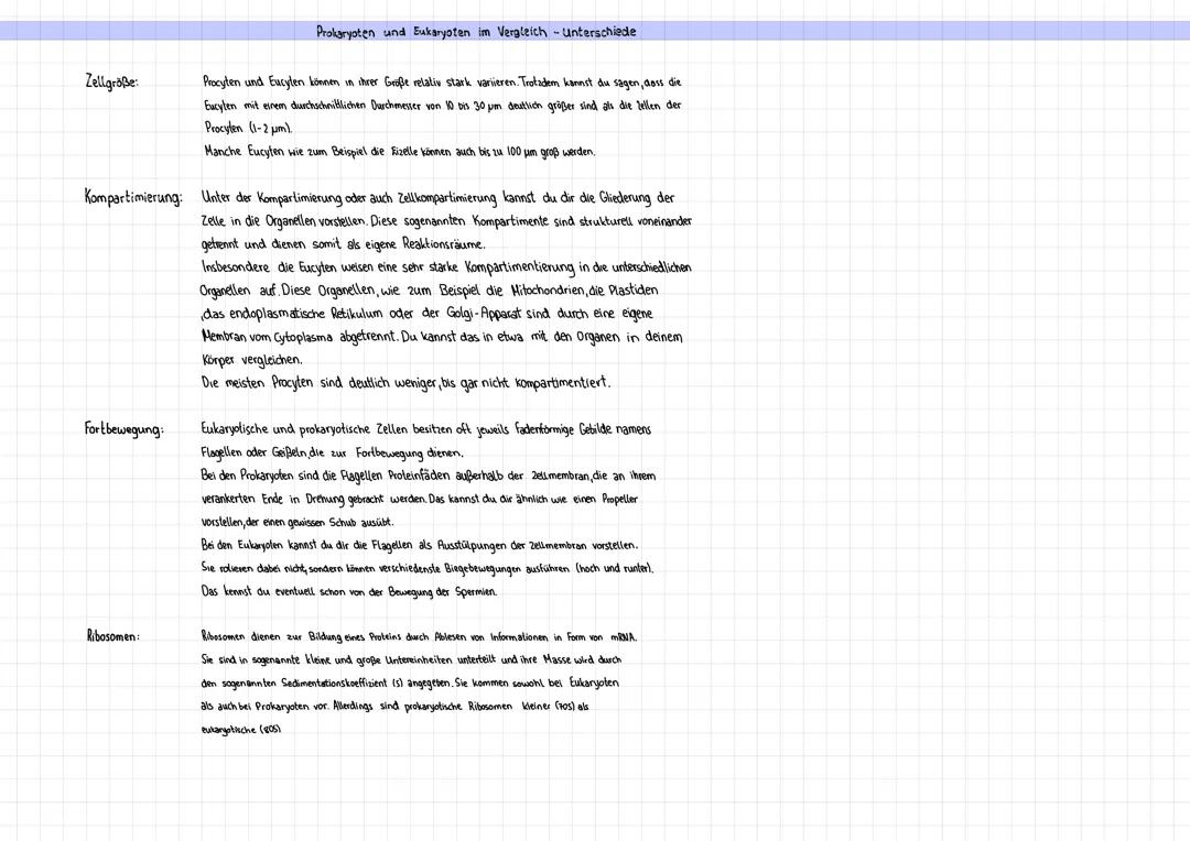 Eukaryoten und Prokaryoten: Unterschiede, Gemeinsamkeiten und Beispiele - Vergleichstabelle