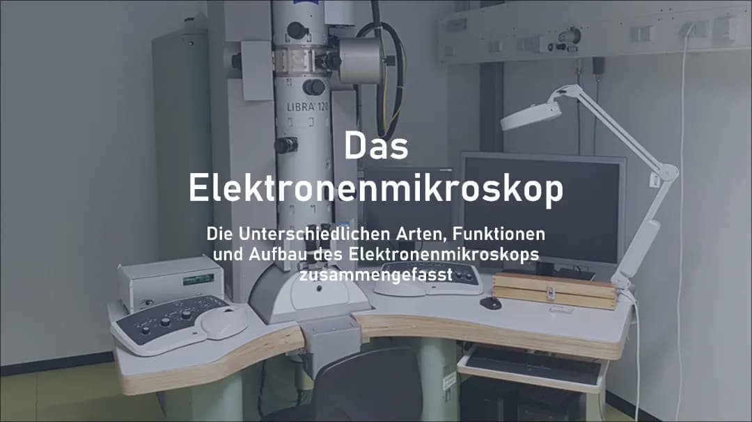 Elektronenmikroskop